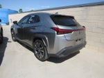 2022 Lexus UX UX 250h Luxury
