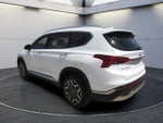 2022 Hyundai Santa Fe Hybrid SEL Premium