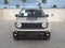 2017 Jeep Renegade Deserthawk