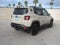 2017 Jeep Renegade Deserthawk