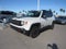 2017 Jeep Renegade Trailhawk
